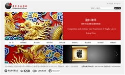 北京傳誠信網(wǎng)站建設(shè)公司 第17頁網(wǎng)站設(shè)計(jì)案例精析